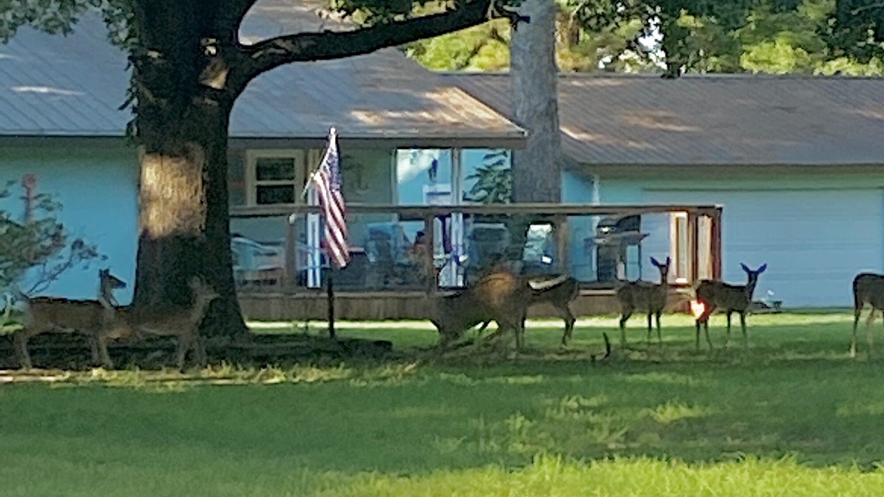 Photo of Outdoor in Mead