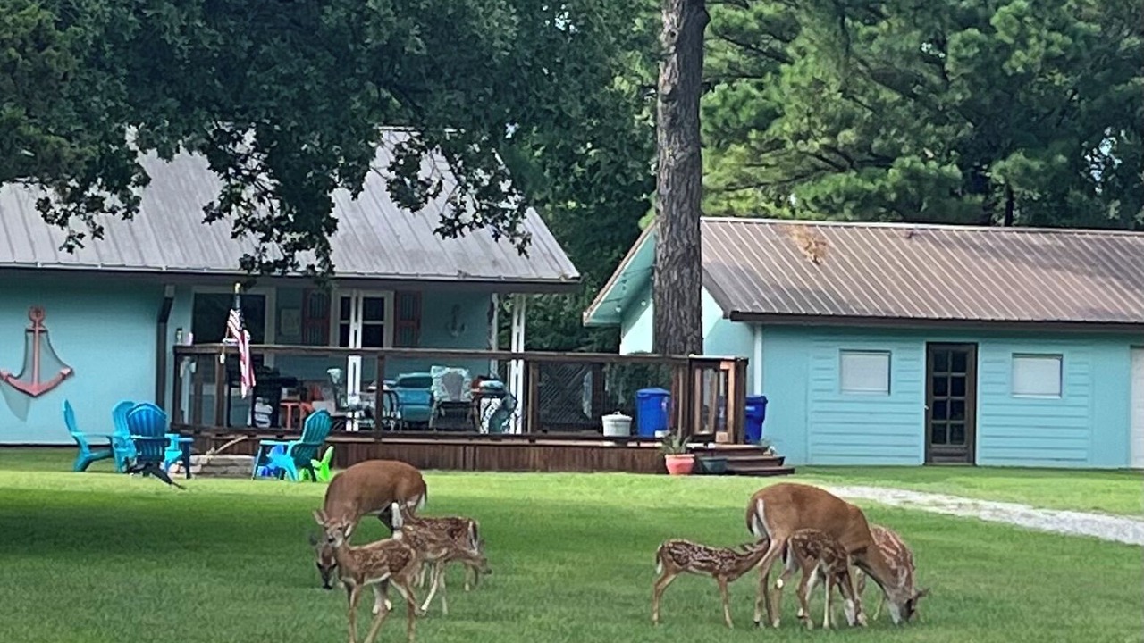 Photo of Outdoor in Mead