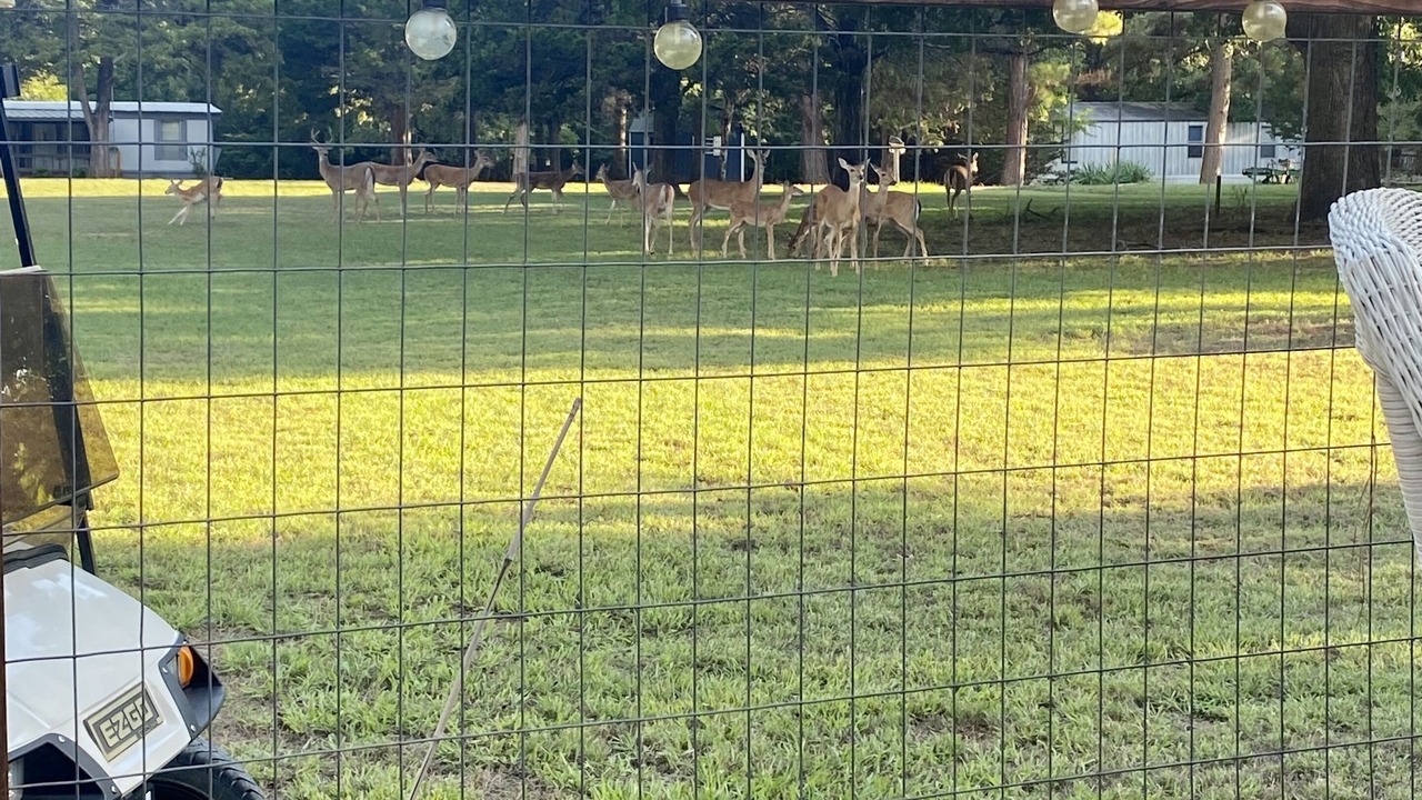Photo of Outdoor in Mead
