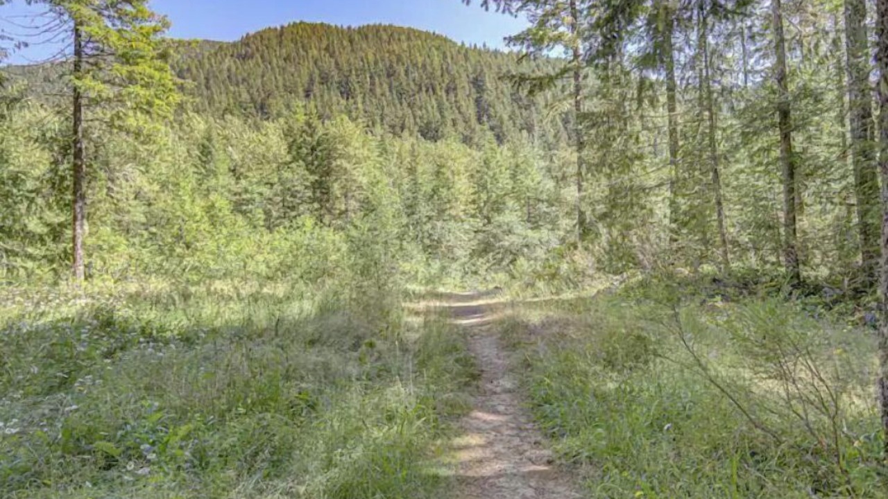 Photo of Outdoor in Rhododendron