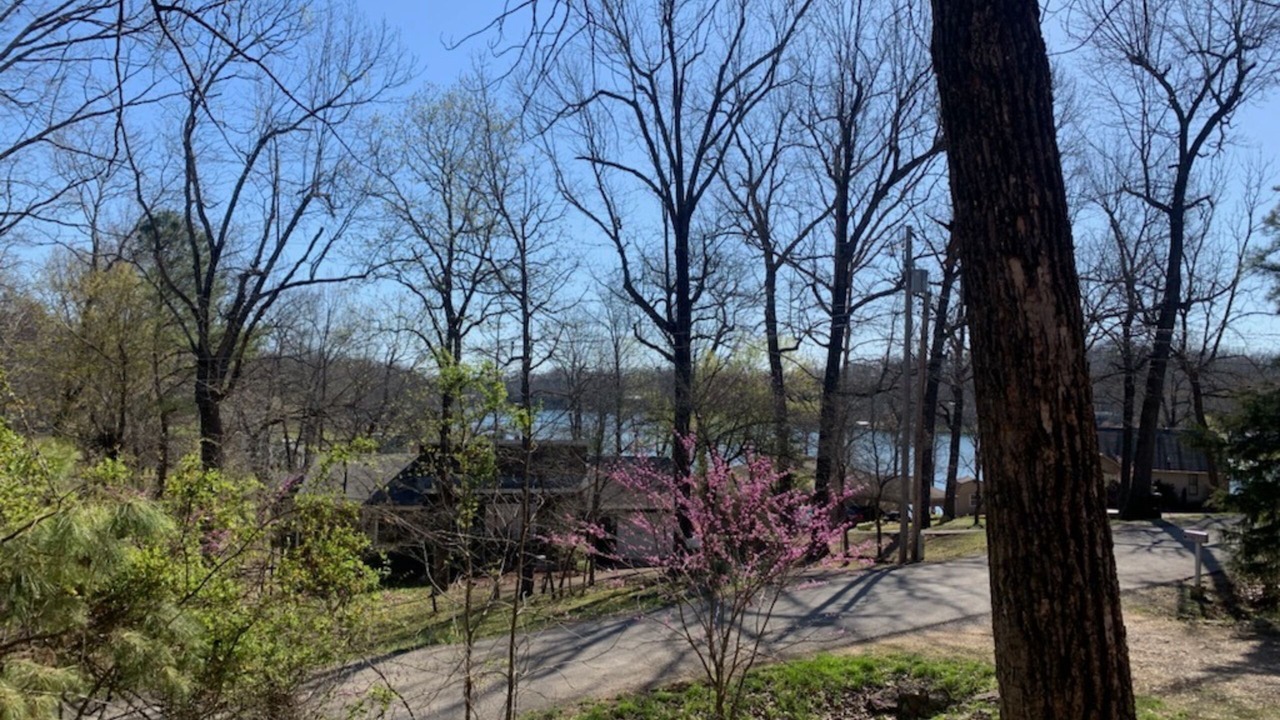 Photo of Outdoor in Cherokee Village