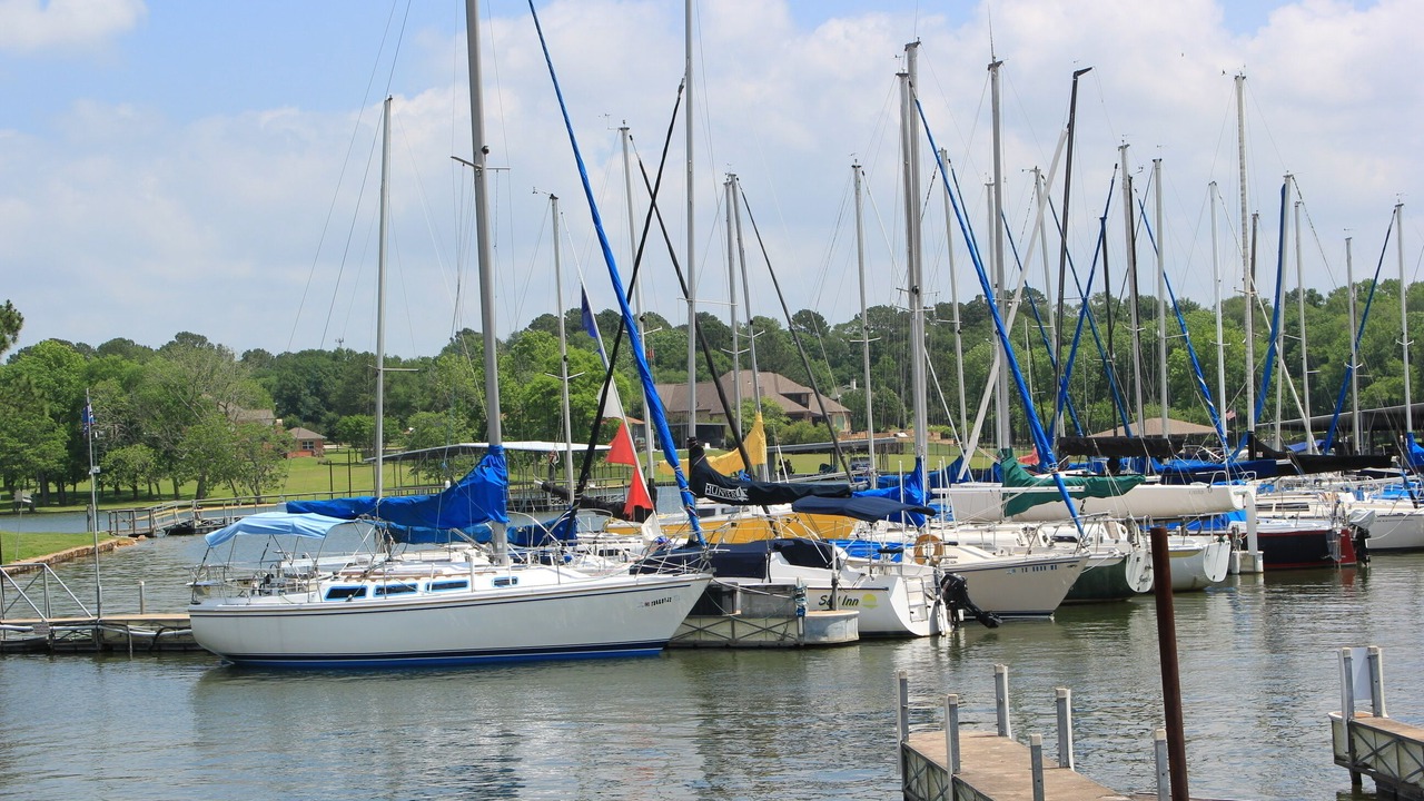 Photo of Others in Seven Coves