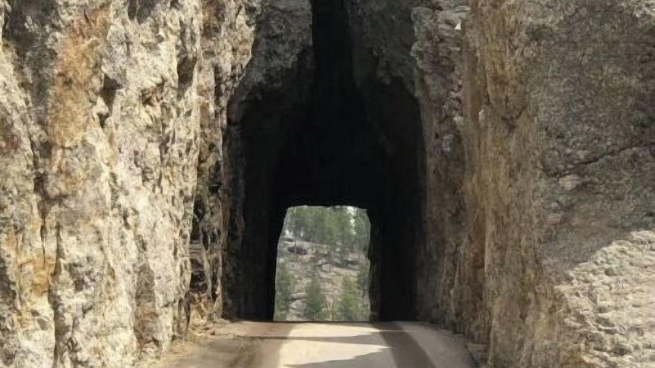 Photo of Others in Custer