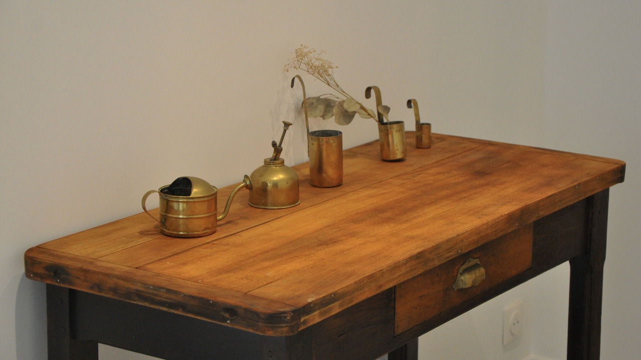 Photo of Others in Saint-Thomas-de-Conac