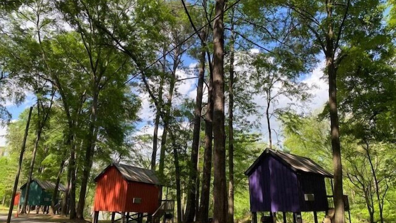 Photo of Others in Juliette