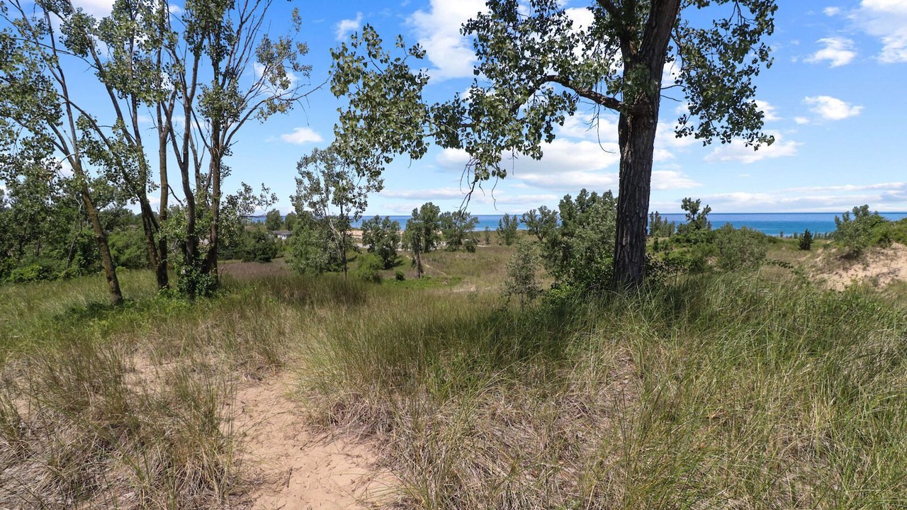 Photo of Others in Miller Beach