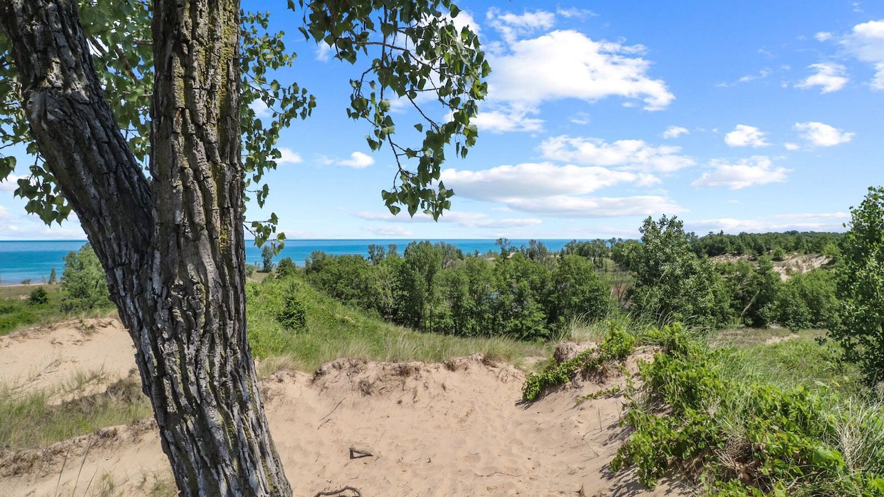 Photo of Others in Miller Beach