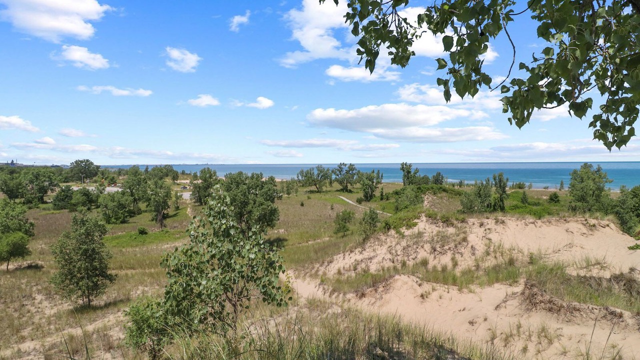 Photo of Outdoor in Miller Beach