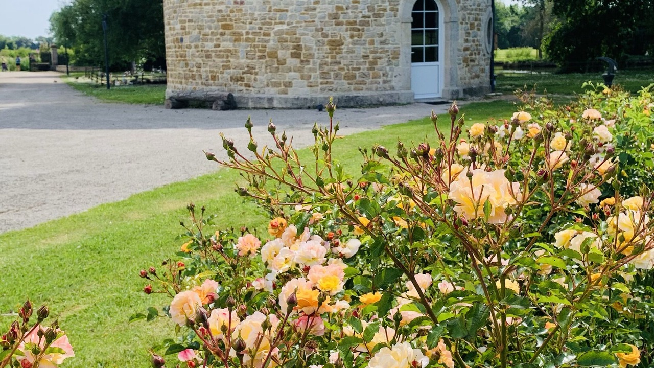 Photo of Outdoor in Saint-Germain-de-Varreville