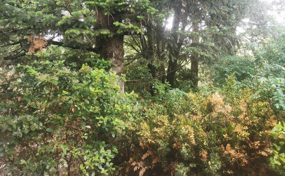 Photo of Outdoor in Tornac