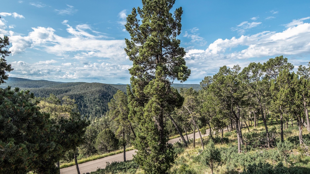 Photo of Others in Ruidoso