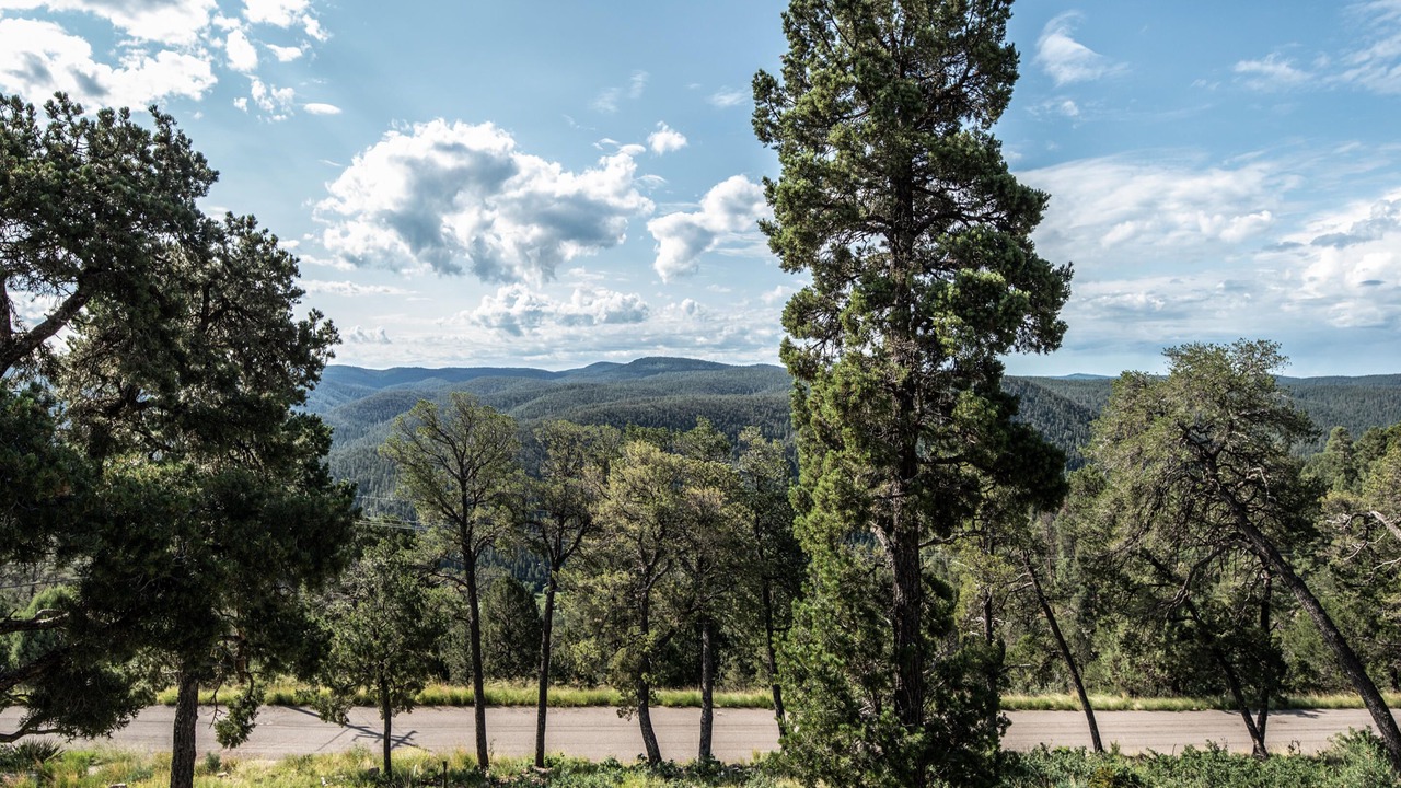 Photo of Others in Ruidoso