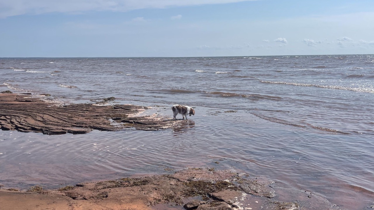 Photo of Others in Belfast