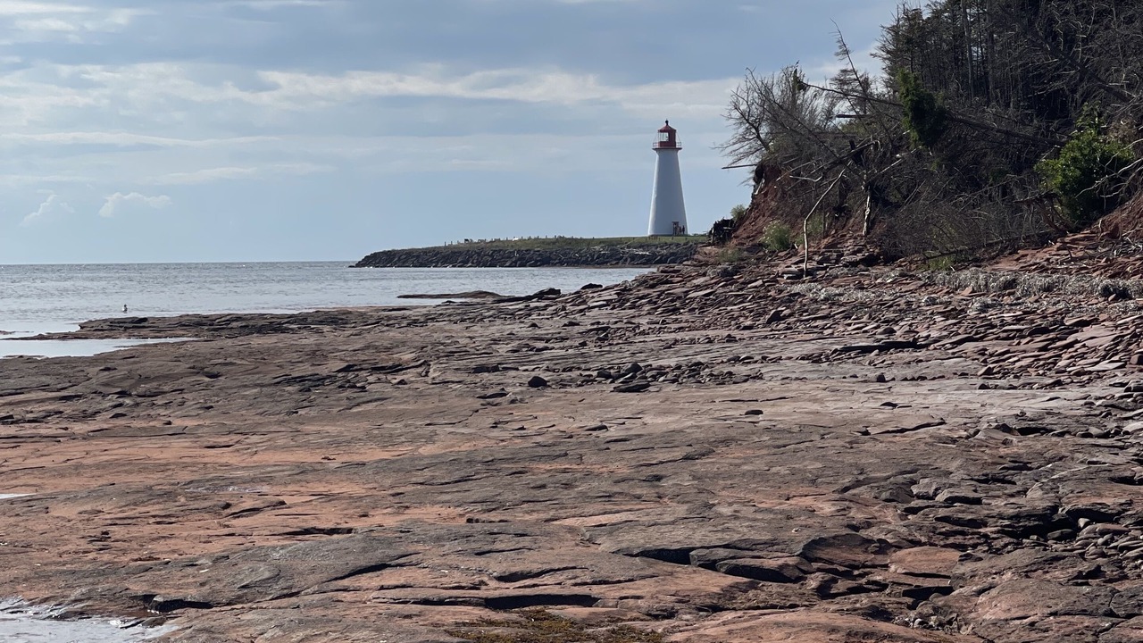 Photo of Others in Belfast