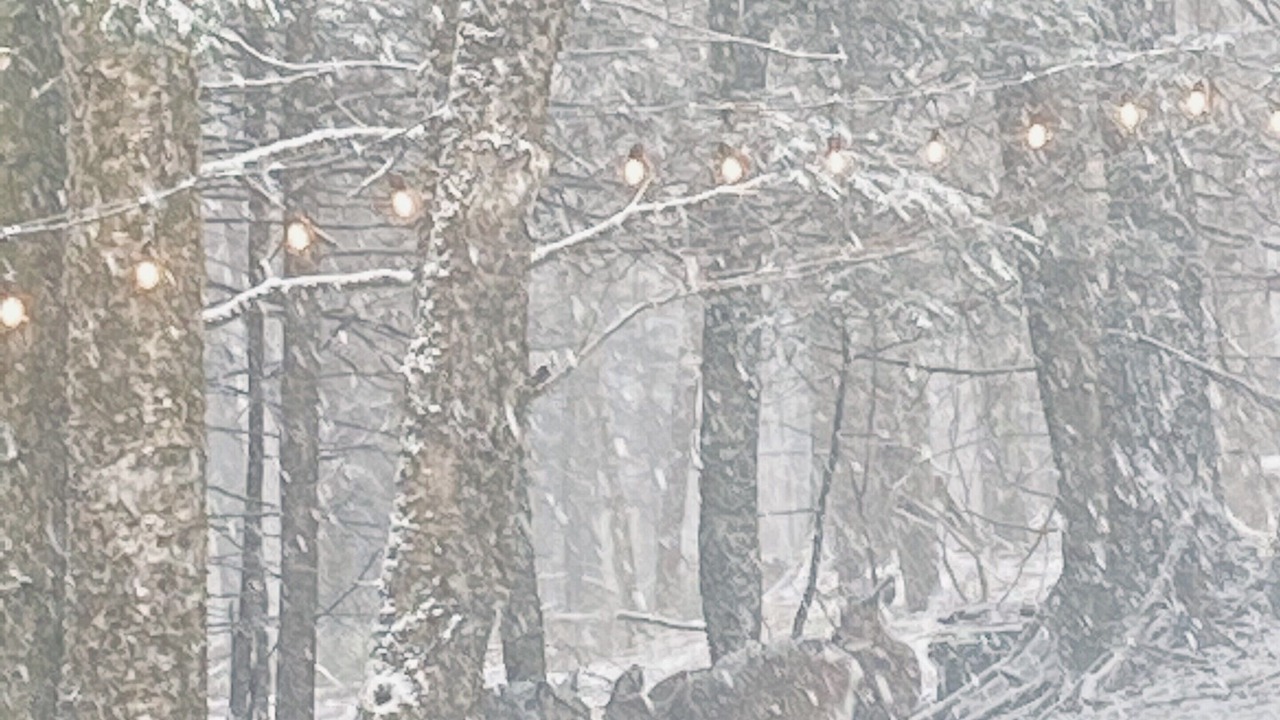 Photo of Others in Smallwood