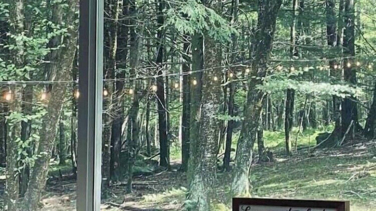 Photo of Others in Smallwood