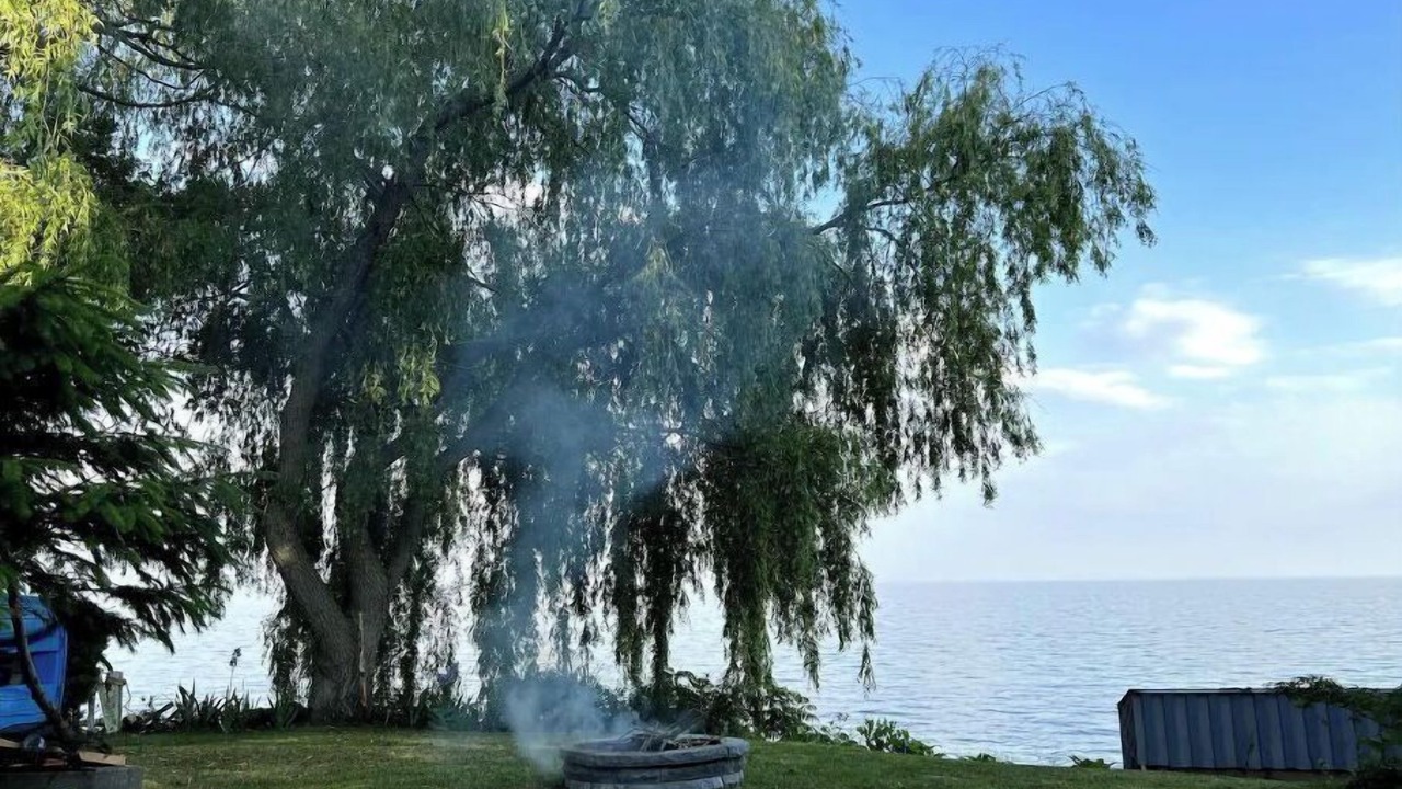 Photo of Outdoor in Batawa