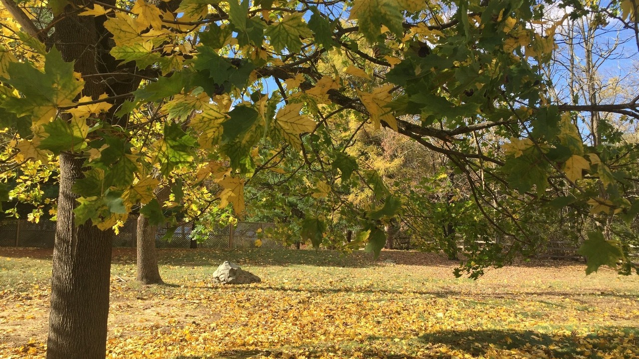 Photo of Outdoor in Pleasant Valley