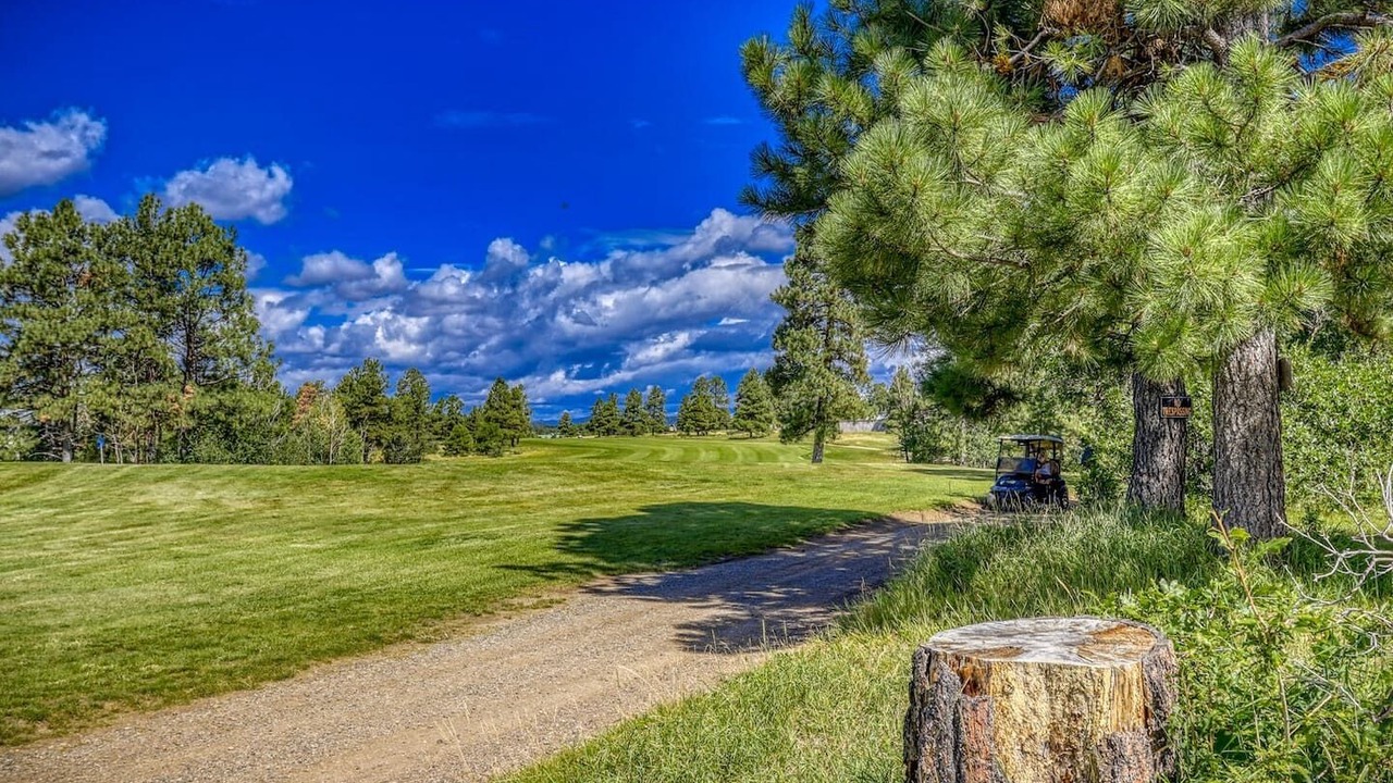 Photo of Others in Pagosa Springs