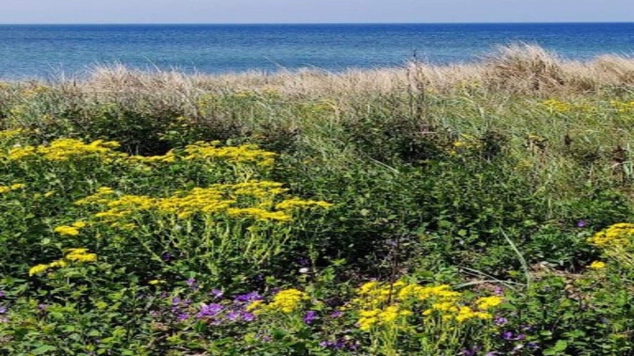 Photo of Outdoor in Kramnitse
