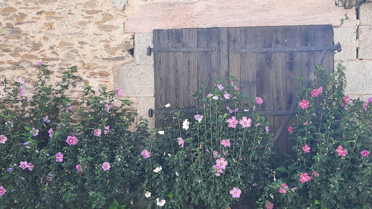Photo of Outdoor in Pouzauges