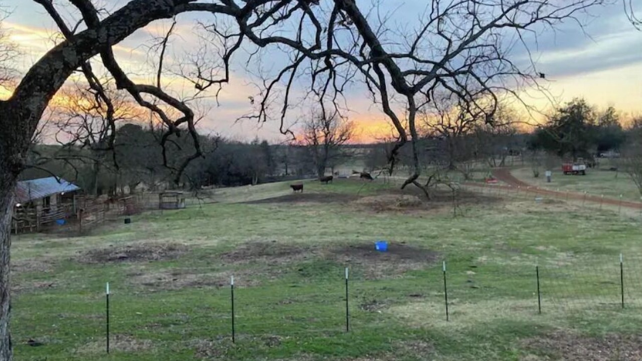 Photo of Others in Winnsboro