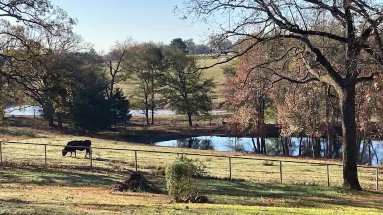 Photo of Others in Winnsboro