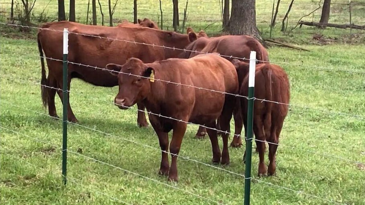 Photo of Others in Winnsboro