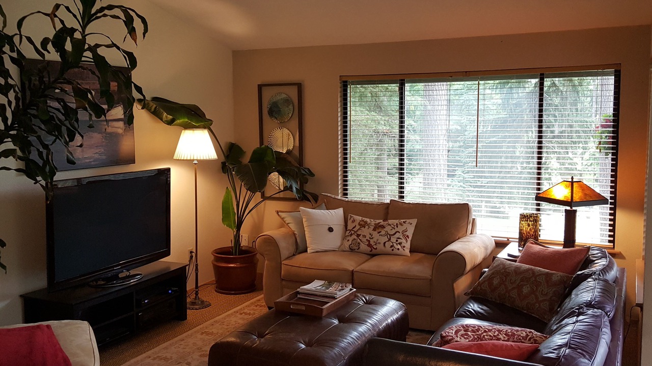 Photo of Livingroom in Gig Harbor