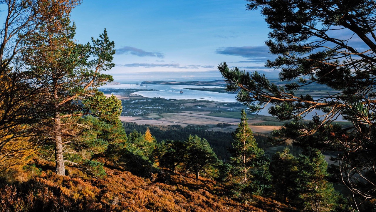 Photo of Others in Cromarty Firth