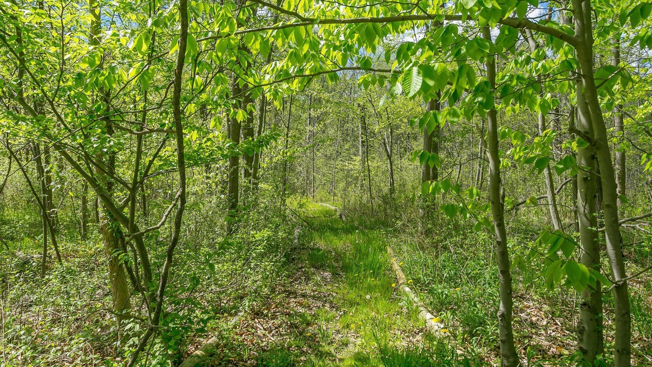 Photo of Outdoor in Bloomfield