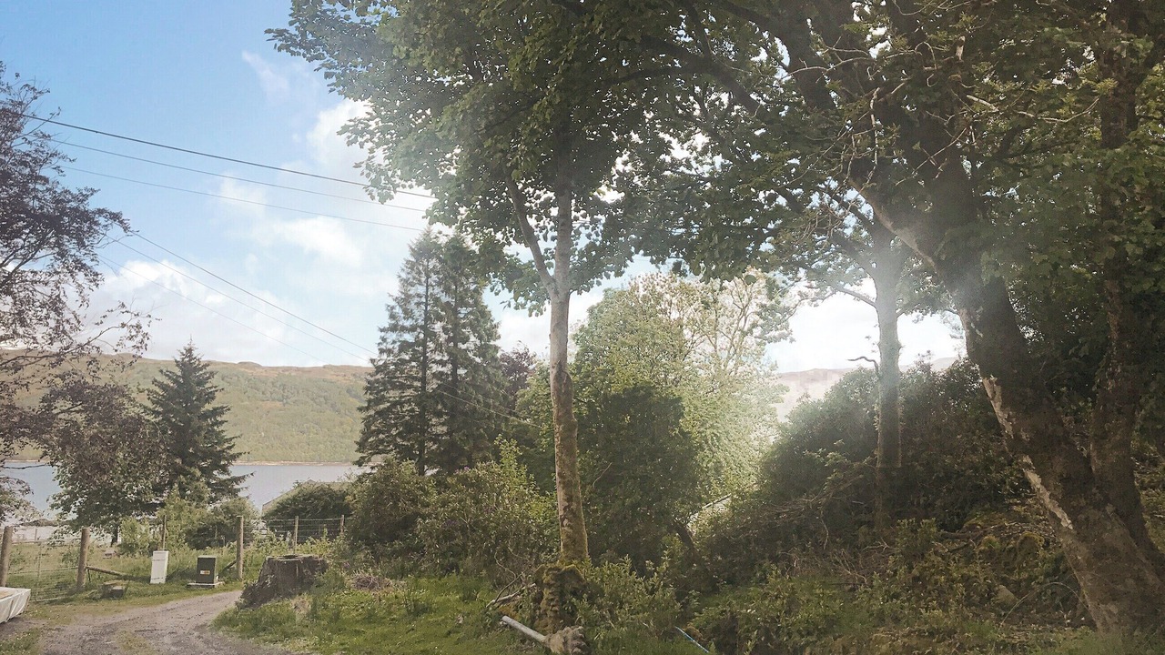 Photo of Others in Salen