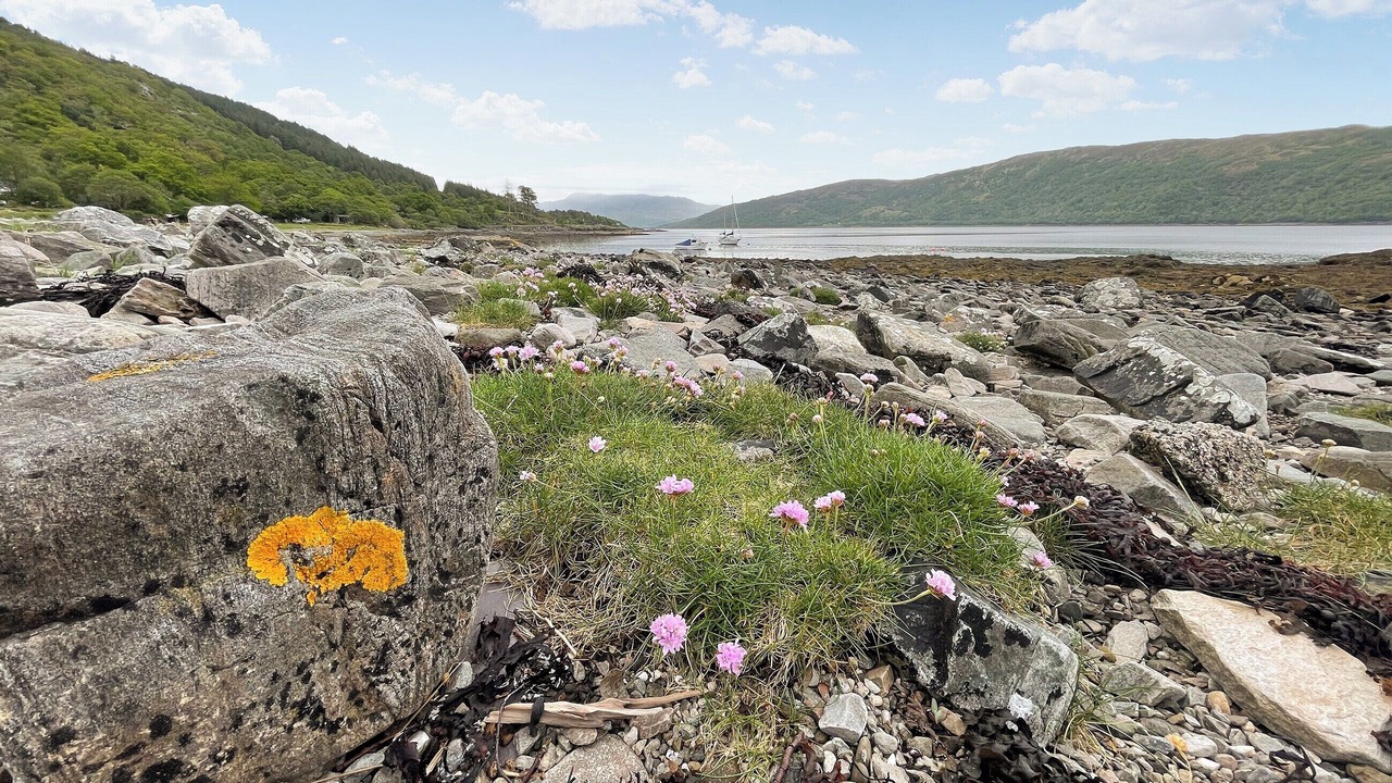 Photo of Others in Salen