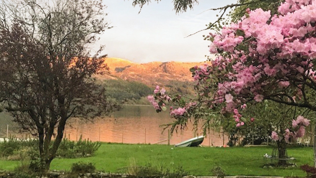 Photo of Others in Salen