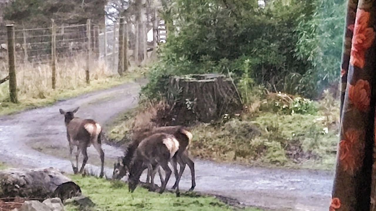 Photo of Others in Salen