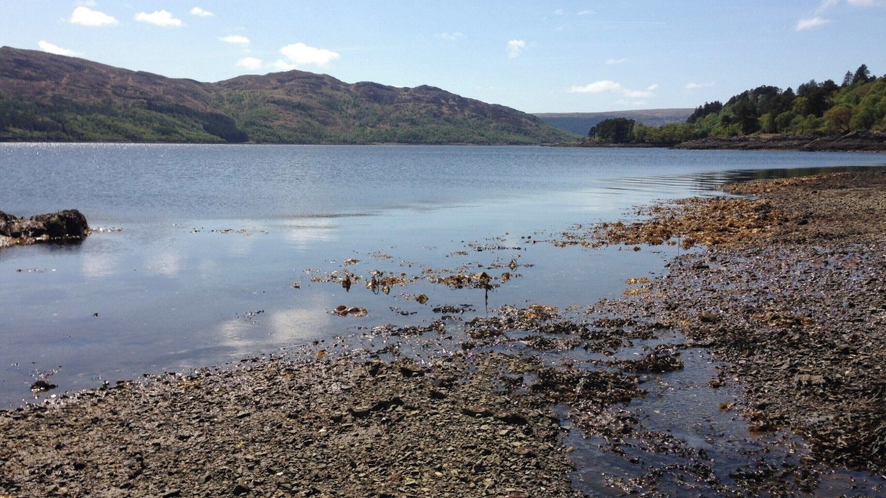 Photo of Others in Salen