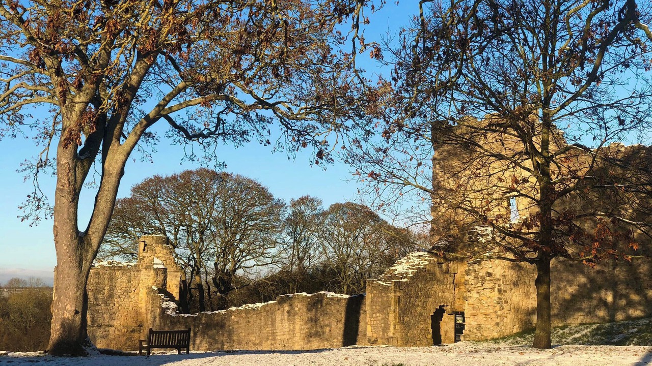 Photo of Others in Pickering