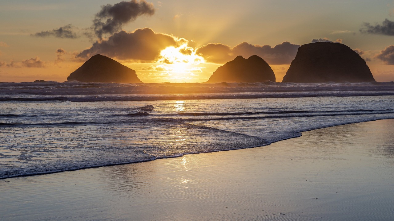 Photo of Others in Netarts