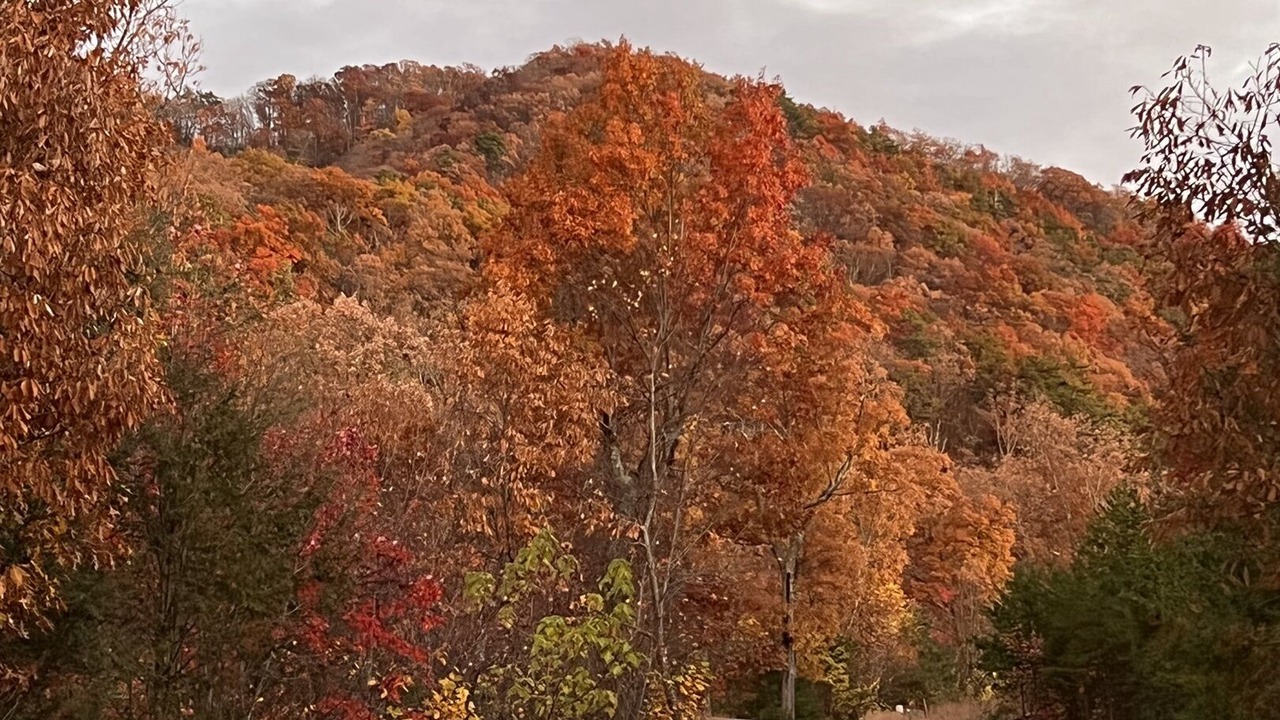 Photo of Others in Wears Valley