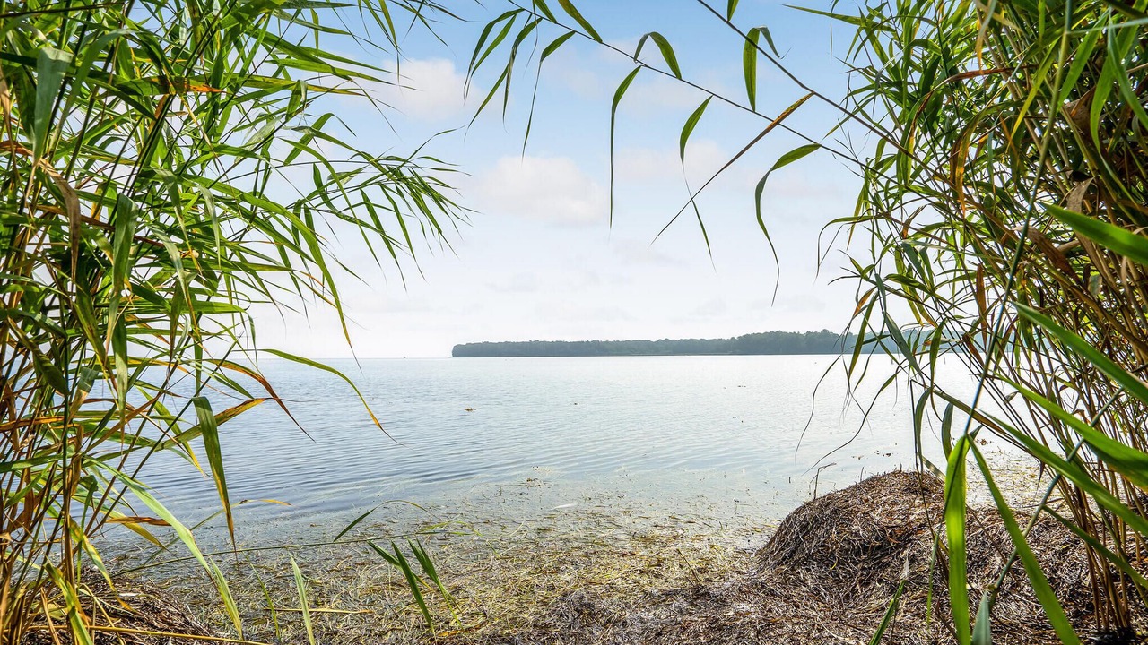 Photo of Bedroom in Bandholm