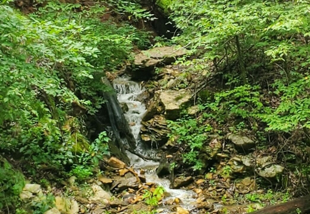 Photo of Others in Innsbrook