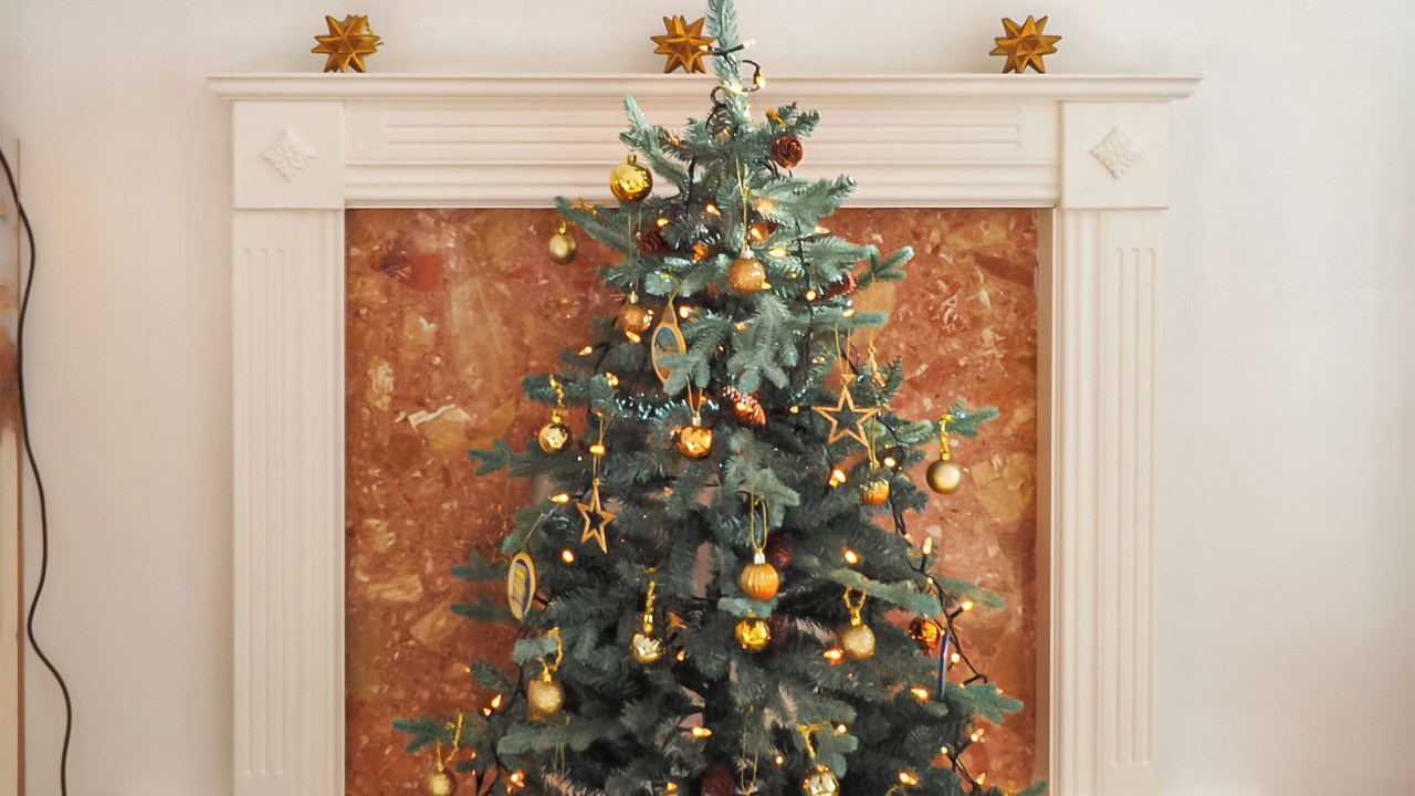 Photo of Others in Bexhill-on-Sea