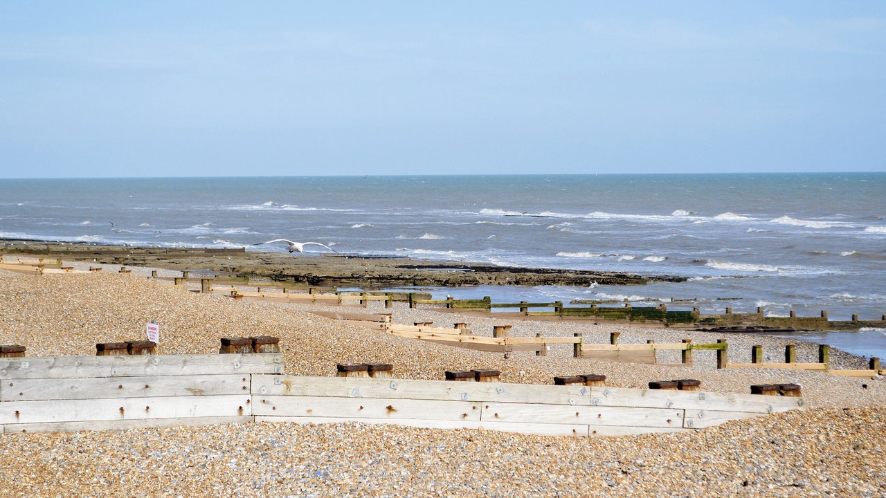 Photo of Others in Bexhill-on-Sea