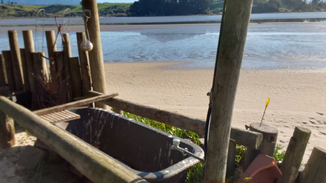 Photo of Others in Whakamarama