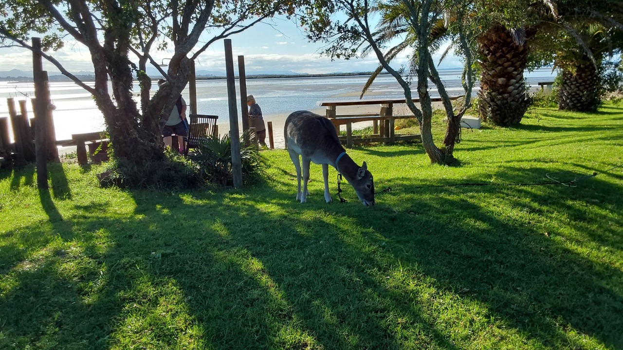 Photo of Outdoor in Whakamarama