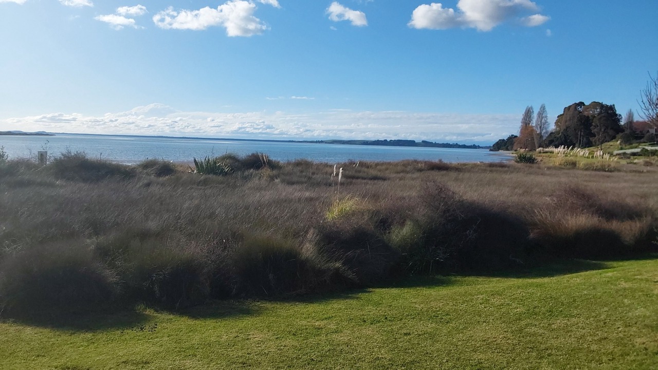 Photo of Others in Whakamarama