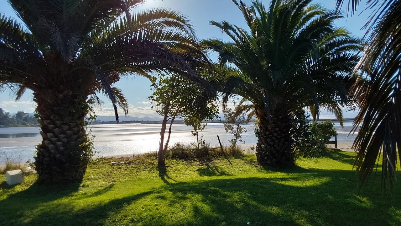 Photo of Others in Whakamarama