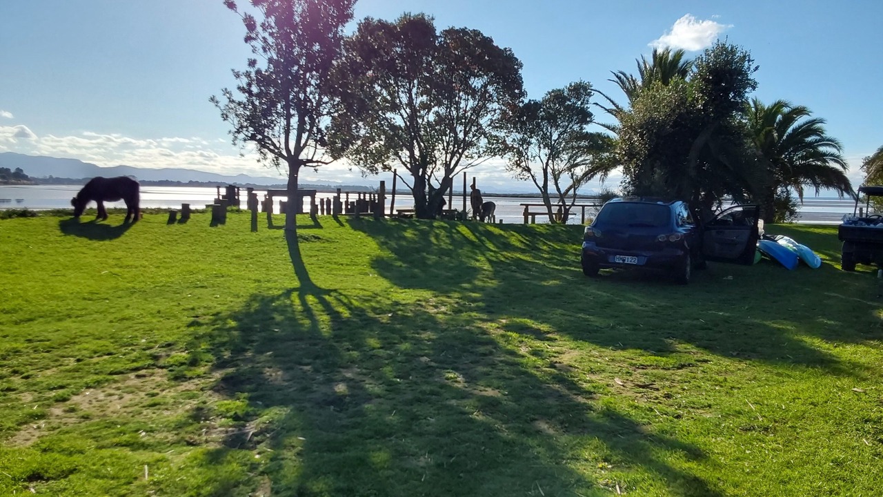 Photo of Outdoor in Whakamarama