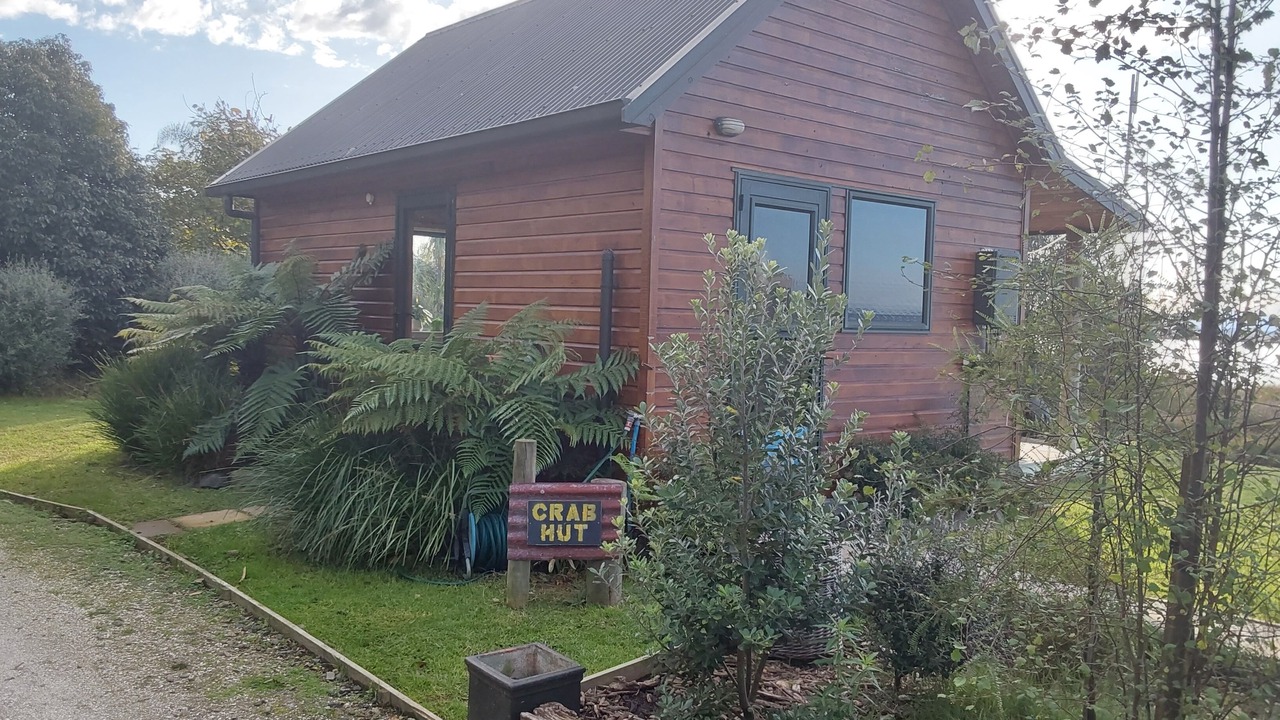 Photo of Outdoor in Whakamarama