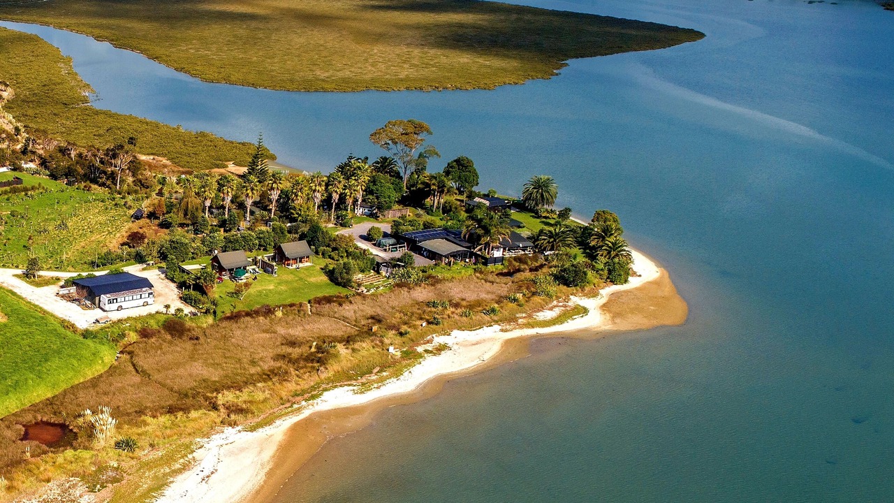 Photo of Outdoor in Whakamarama